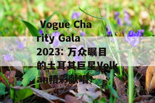  Vogue Charity Gala 2023: 万众瞩目的土耳其巨星Volkan精彩献唱！