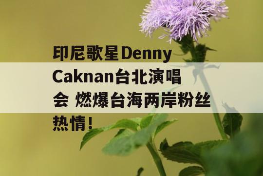 印尼歌星Denny Caknan台北演唱会 燃爆台海两岸粉丝热情！