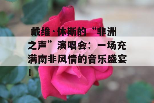  戴维·休斯的“非洲之声”演唱会：一场充满南非风情的音乐盛宴！