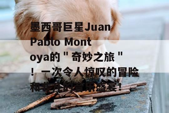 墨西哥巨星Juan Pablo Montoya的＂奇妙之旅＂！一次令人惊叹的冒险和非凡的音乐盛宴！